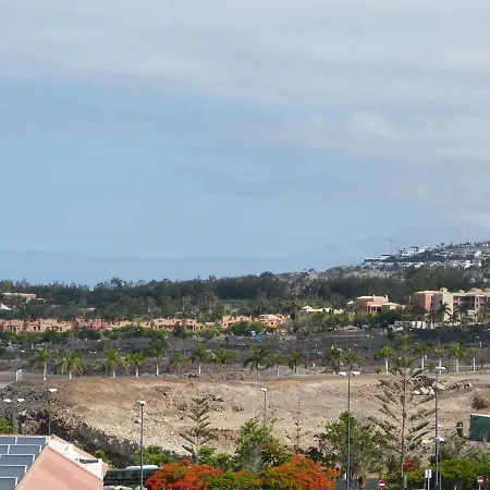 Suncanarias Estudio Summerland