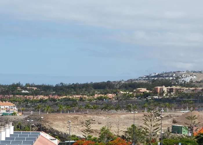 Suncanarias Estudio Summerland