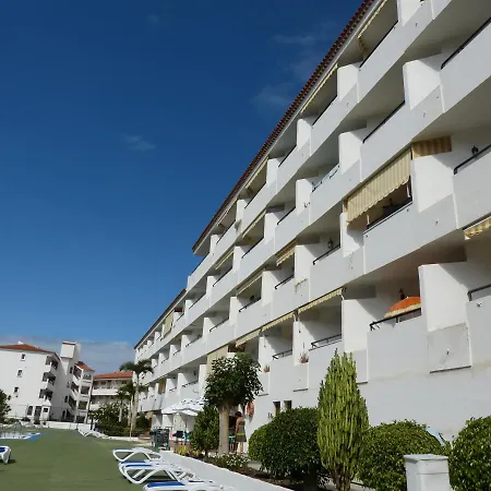 Suncanarias Estudio Summerland